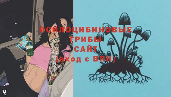 марки lsd Ладушкин