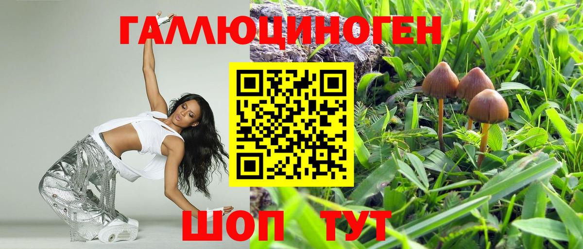 Псилоцибиновые грибы ЛСД Родники