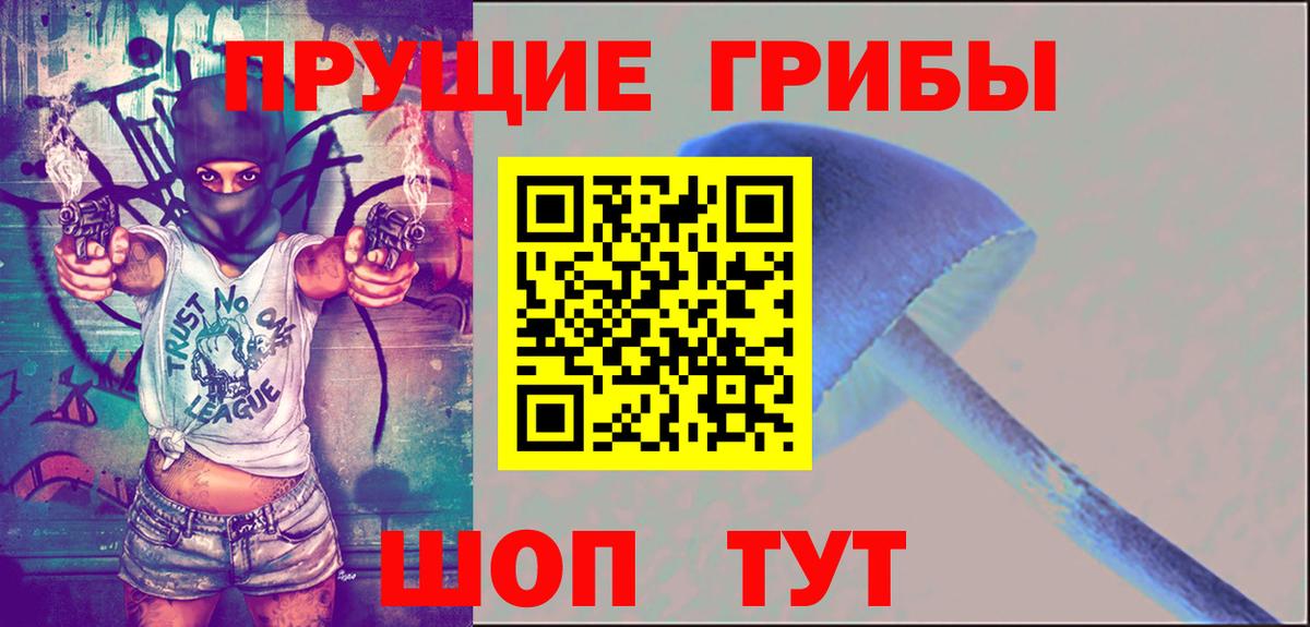 Галлюциногенные грибы Cubensis  Вход с VPN  Галлюциногенные грибы прущие грибы  Родники 